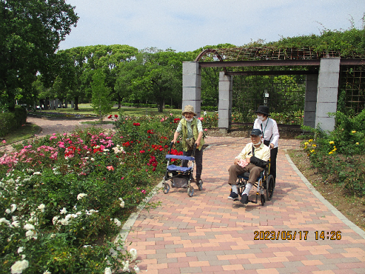 植物園1